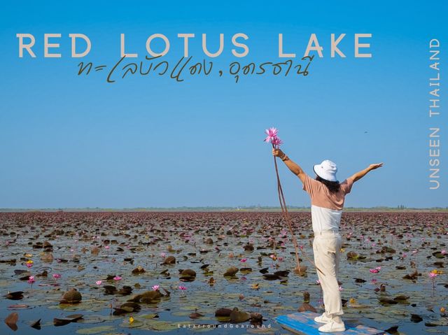 Red Lotus Lake, Udorn Thani - Unseen Thailand Red Lotus Lake, Udorn Thani - Unseen Thailand