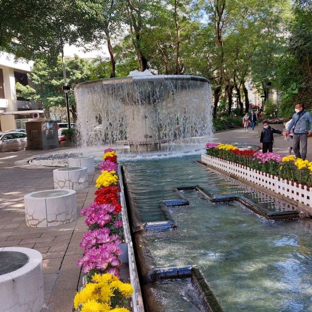 香港公園打卡位