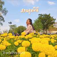 เดินชิวเที่ยวสวนลุมพินี สวนสวยกลางกรุง