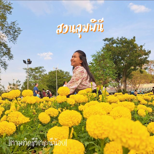 เดินชิวเที่ยวสวนลุมพินี สวนสวยกลางกรุง