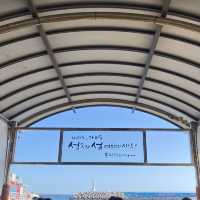 4월 제주도에서 가장 아름다운 곳