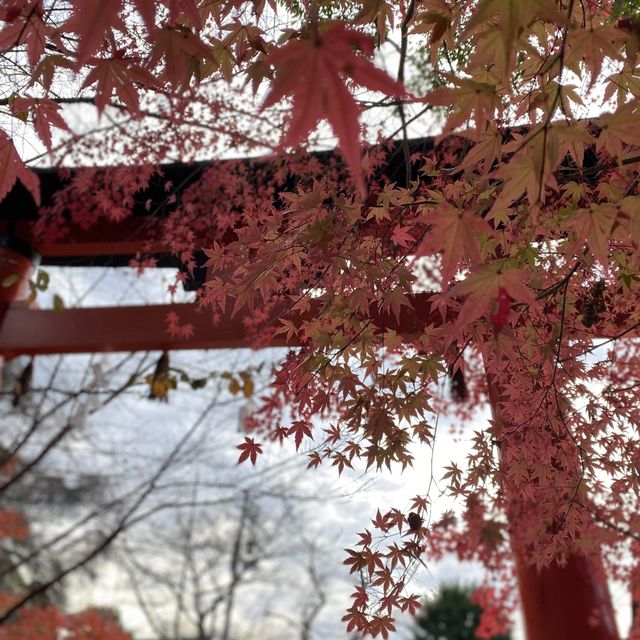 走進時光隧道——秋日遊宇治神社