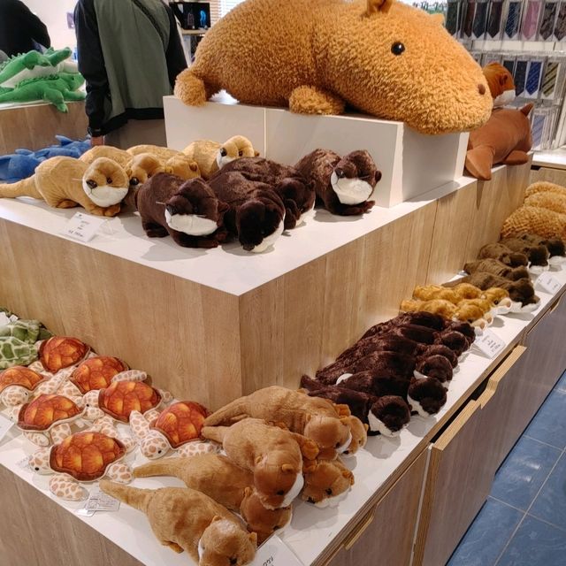 ジンベイザメ弁当が美味しい！　２階オフィシャルミュージアムショップ