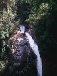 อุทยานแห่งชาติน้ำตกโยง อ.ทุ่งสง จ.นครศรีธรรมราช 
