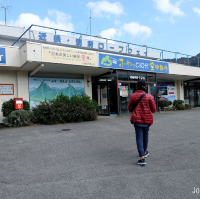 ชมวิวงามระดับโลกที่ยอดภูเขาไฟ Mt. Tsurumi ใน Beppu