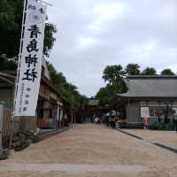 宮崎県「青島神社」海とジャングルのパワースポット