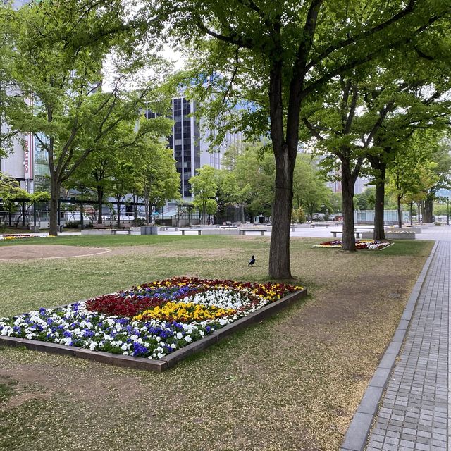 北海道札幌「大通公園」実は道路でした