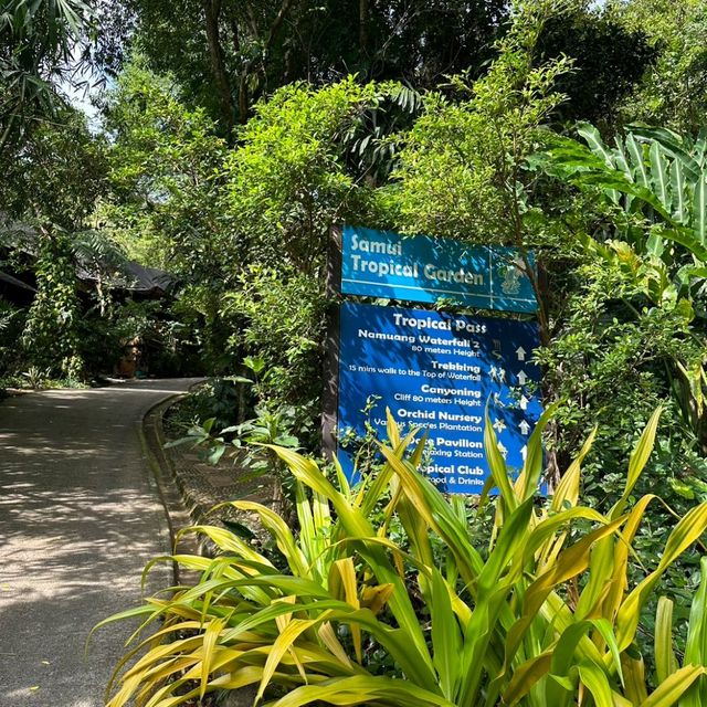 น้ำตกที่ใหญ่ที่สุดของเกาะสมุย