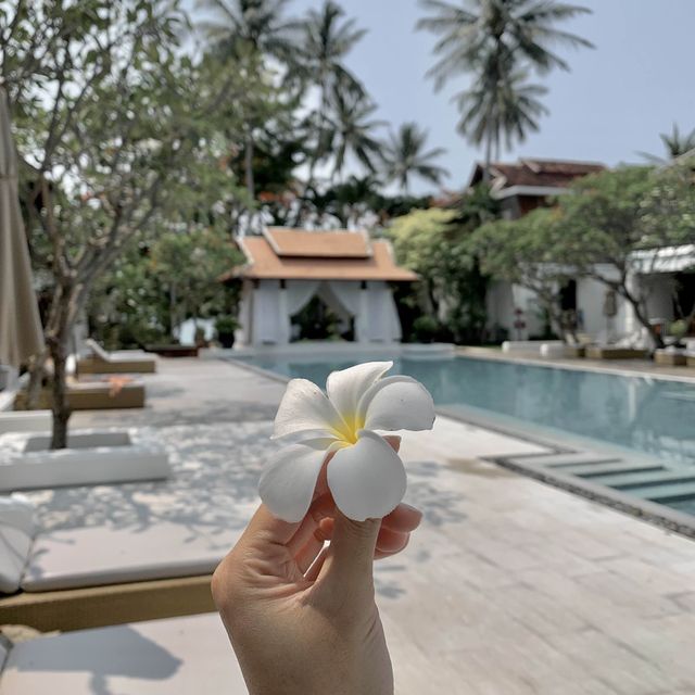 🩵 เกาะสมุยกับที่พักริมชายหาด ห้องใหญ่มาก