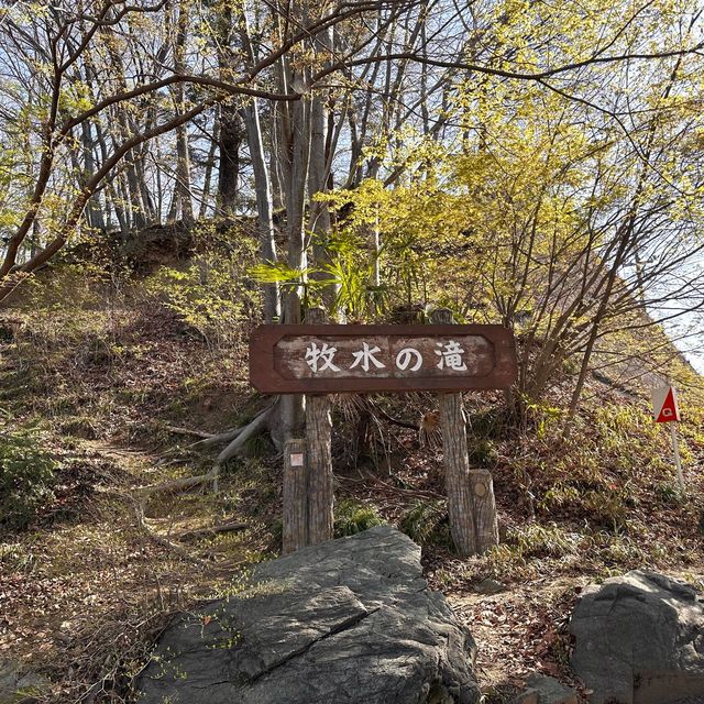 東京近郊景點 – 秩父羊山公園