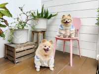 คาเฟ่และที่พัก สไตล์เขาใหญ่ในระยอง