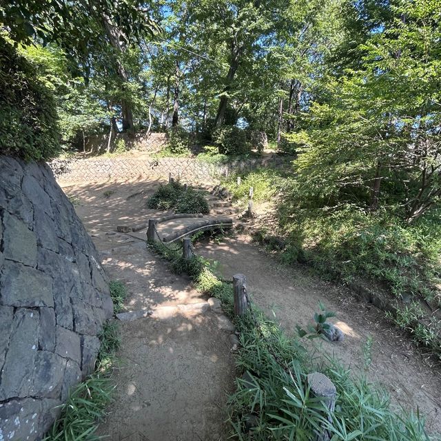 世田谷城址公園 世田谷城址公園