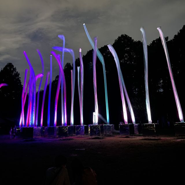 大阪長居植物園team lab