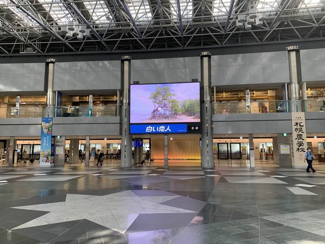 北海道から愛知へ JALでひとっ飛び!快適空の旅 北海道から愛知へ JALでひとっ飛び!快適空の旅
