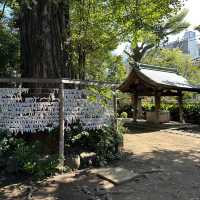 📍奥澤神社/東京