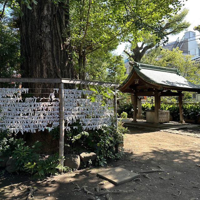 📍奥澤神社/東京