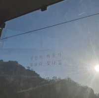국내 최고 높이를 자랑하는 목포 해상케이블카🚡