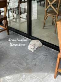 Take a breath คาเฟ่สไตล์เขาใหญ่ ใจกลางกรุง💐🌳