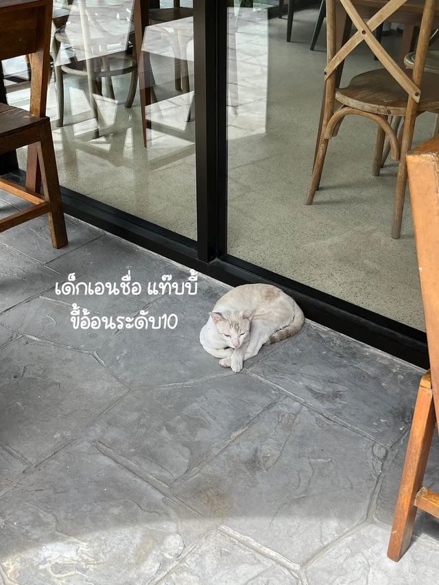 Take a breath คาเฟ่สไตล์เขาใหญ่ ใจกลางกรุง💐🌳