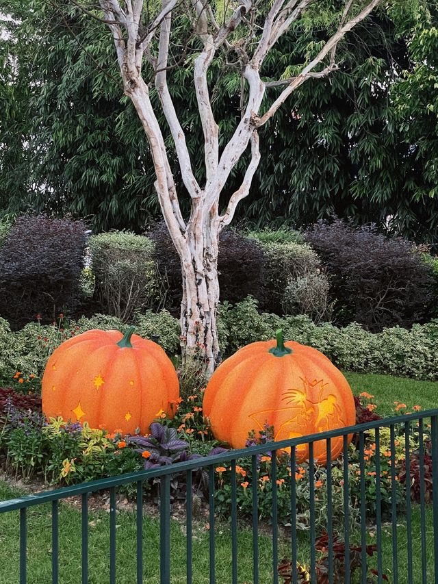 ฮาโลวีนปีนี้ ที่ดิสนีย์แลนด์! 🎃