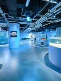 【神戸】絶対行きたい！アート×アクアリウムの美しすぎる水族館🐟