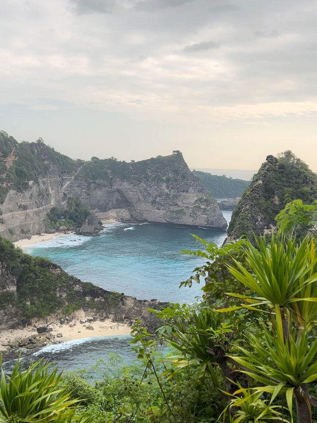 ย้อนเวลาไปบ้านต้นไม้ยอดฮิตบนเกาะ Nusa Penida