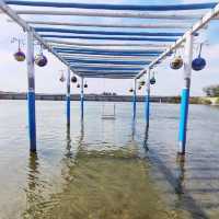 Clam harvesting farm in Taiwan