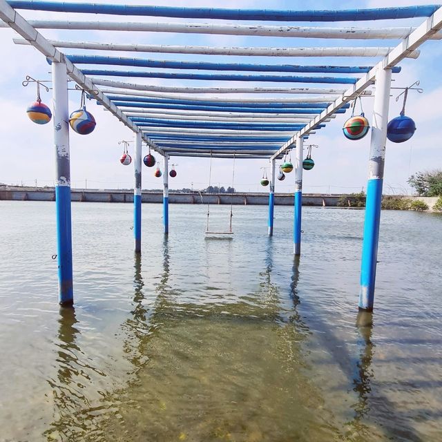 Clam harvesting farm in Taiwan