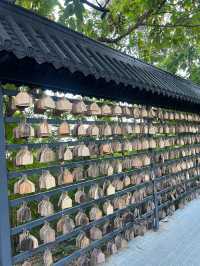 วัดพระธาตุดอยพระฌาน อ.แม่ทะ จ.ลำปาง🎏🎋