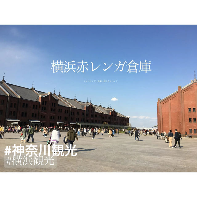 横浜観光  横浜観光