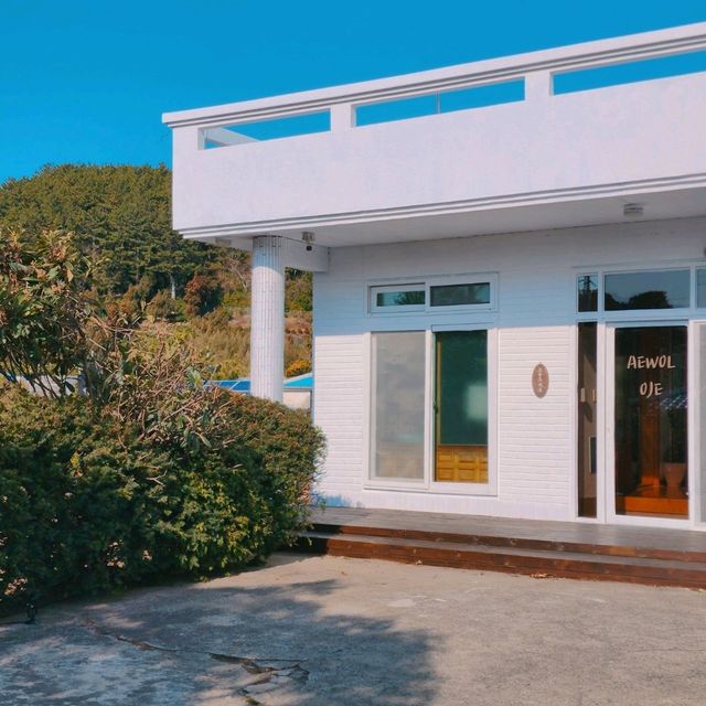 애월 최고위치의 감성가득 독채숙소 애월오제