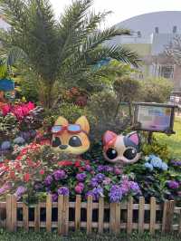 處處繡球花圃 @ 元朗公園