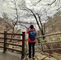 Lovely Autumn escape from busy Seoul !! 