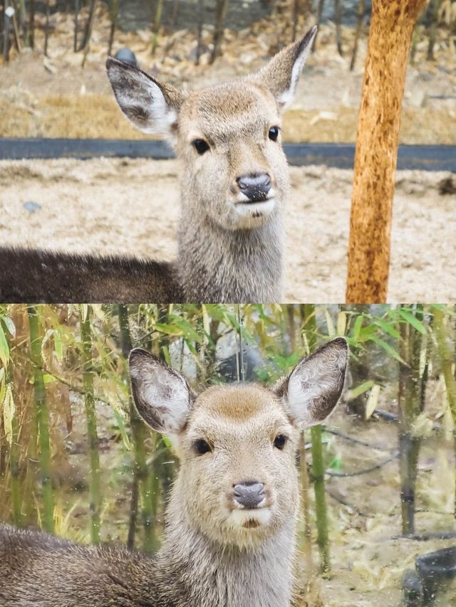 태초의 숲 모티브, 초대형 업사이클 카페🌳