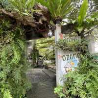 ดิ โอโซน คาเฟ่คลายร้อน ที่บางกระเจ้า