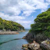 【圧倒的海、大自然、動物】下田海中水族館