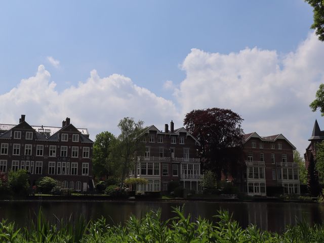 [네덜란드/암스테르담]🇳🇱제철 암스테르담을 즐기는 법! Vondel Park