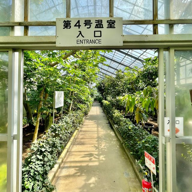 温室たくさん！雨の日でも安心
