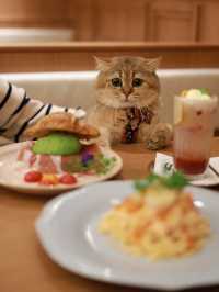 旺角 pet friendly cafe 