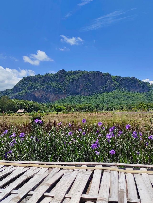 ภูผาม่านฮิลล์ 