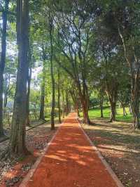 《台北》逃離繁忙都市生活 佔地超大的城市綠洲-大安森林公園