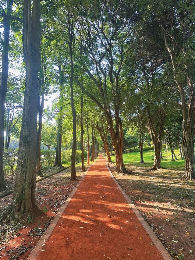 《台北》逃離繁忙都市生活 佔地超大的城市綠洲-大安森林公園
