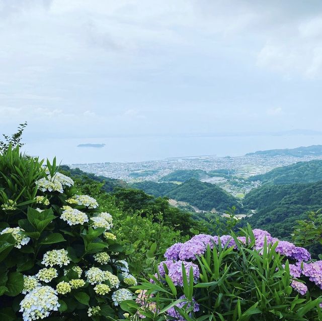 三ヶ根山スカイライン