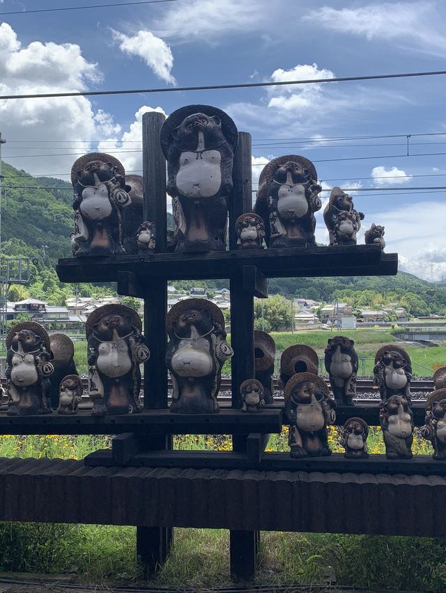 🥹🌸太漂亮了吧! 在JR嵯峨嵐山站隨意拍都是美照!🌿