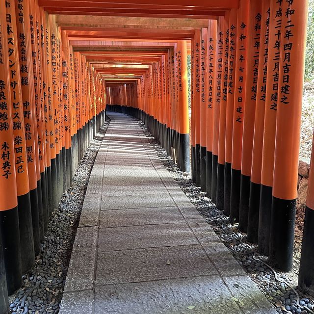 Taking in the infamous orange arches. 