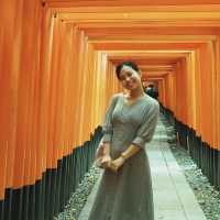 The Senbon Torii (1,000 torii gates)