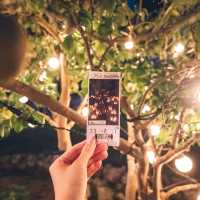 【神奈川】「江ノ島 灯篭」でゆったりとした夏の夜を過ごす🌿
