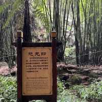 成都周邊桫欏峽谷：自然徒步