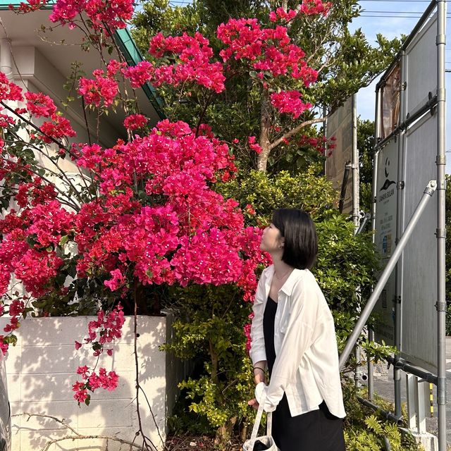 청량함 가득 일본스럽지 않은 일본 ‘오키나와’