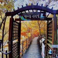 Most beautiful falling season at Bamsagol